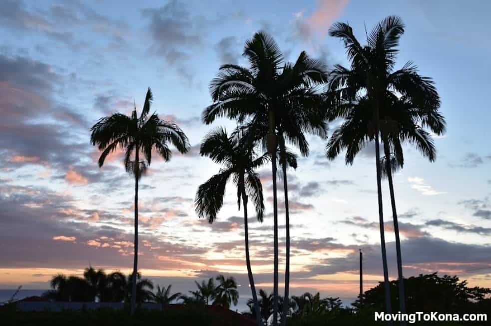 Palm trees and a sunset in Hawaii.