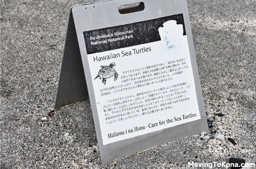 A sign about sea turtles in Hawaii.