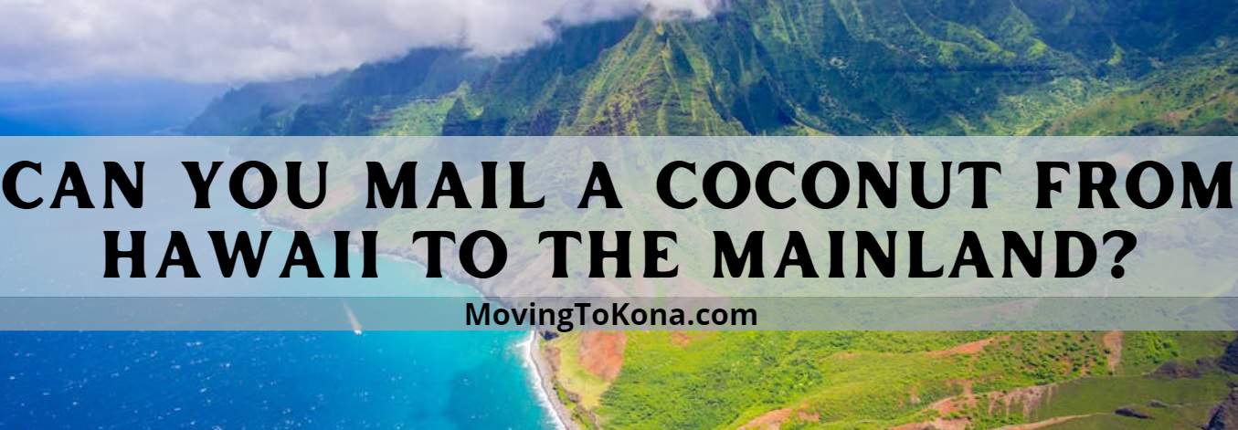 mail a coconut