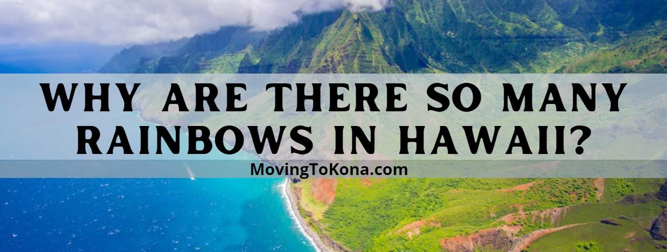 Hawaii Rainbows